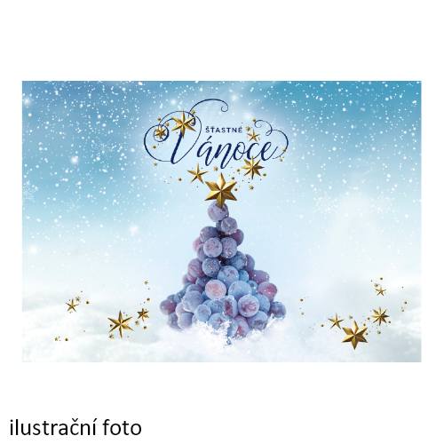 Dárková kartička Vánoce